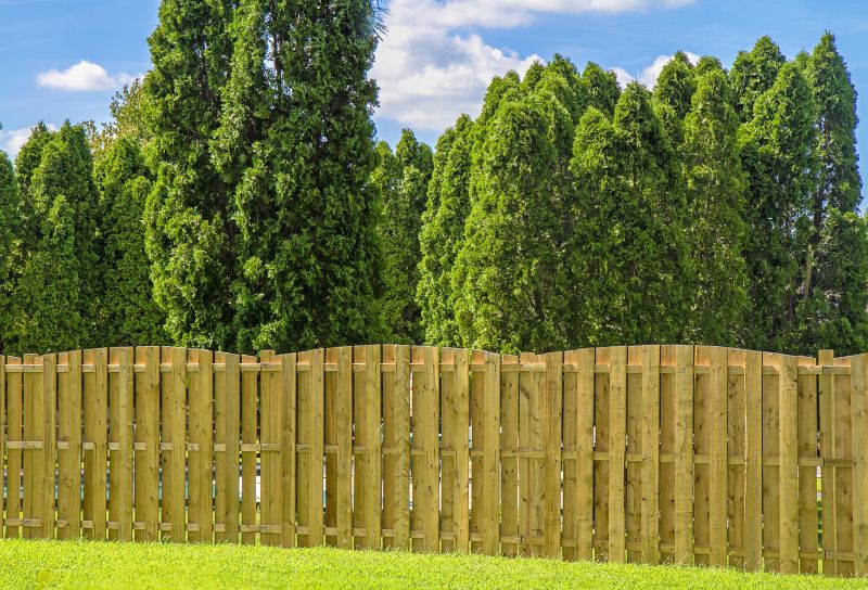 Finished Wooden Privacy Fence